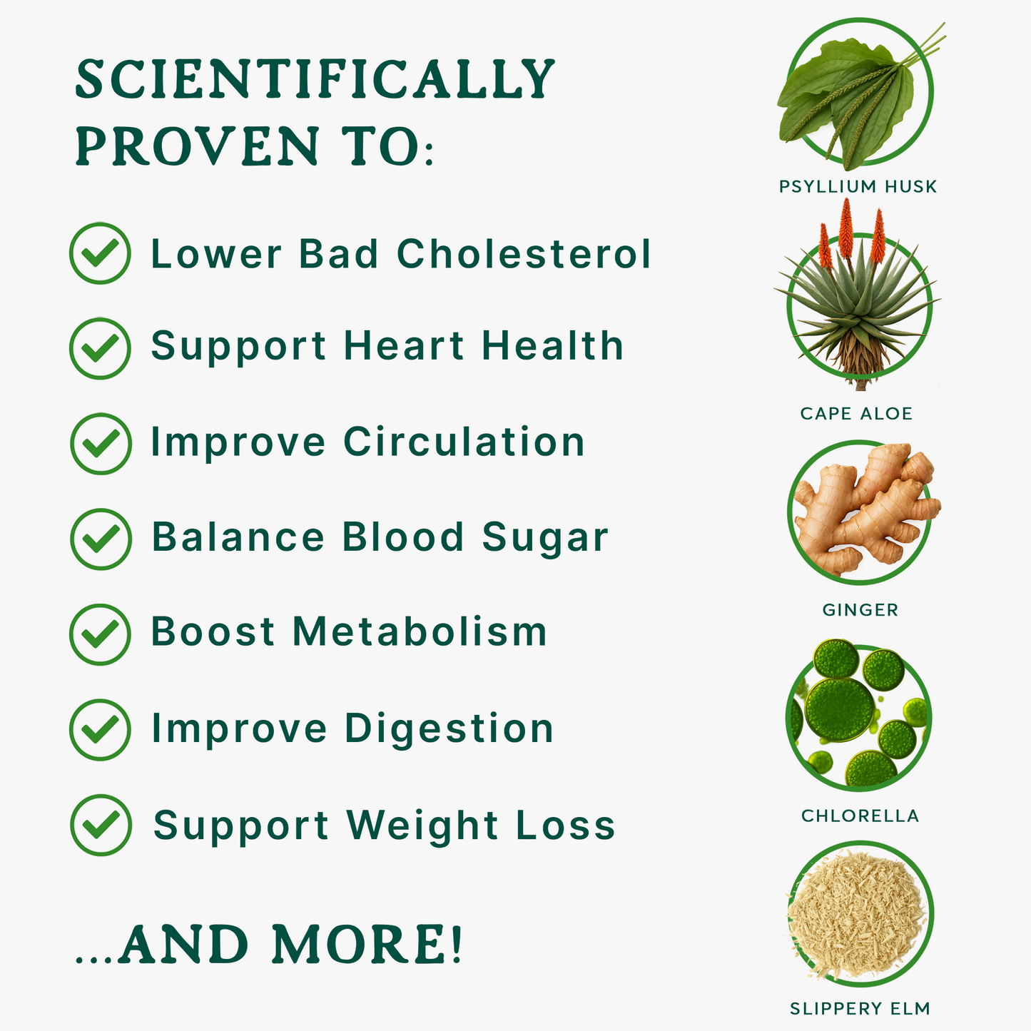 Psyllia® Heart Health™ | Psyllium Husk Capsules for Cholesterol